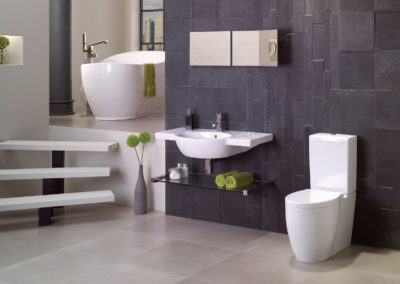 Charcoal tiling with contemporary bathroom facilities.