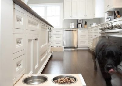 Functional and stylish renovated kitchen with a built-in pet station