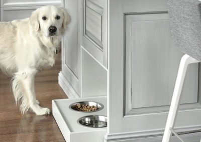 Functional and stylish renovated kitchen with a built-in pet station