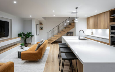 Imagine Your Basement Like This